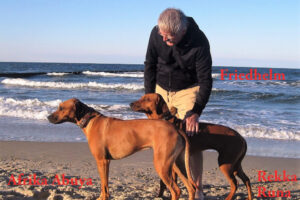 Friedhelm mit Abuya und Runa am Strand Usedom